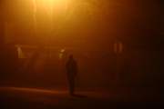 In The Fog