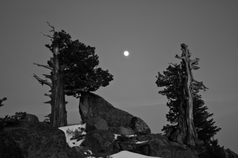 Highway 88, California