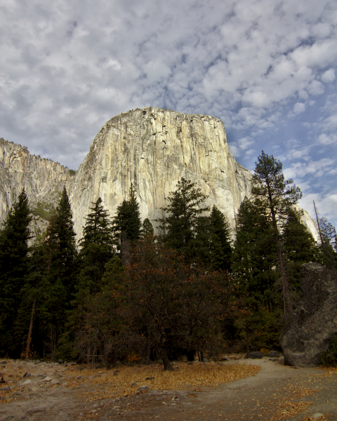 El Capitan, Yosemite National Park