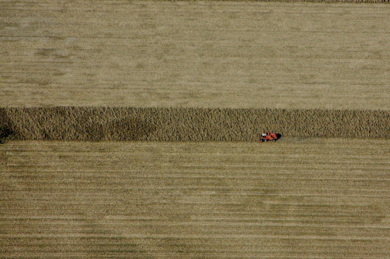 Farm  Land Near Sacramento CA