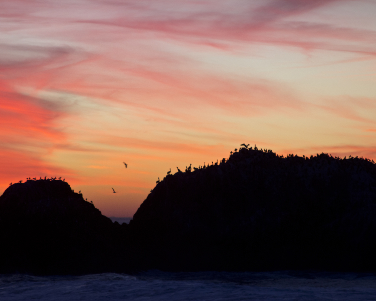Sutro Baths, San Fransico